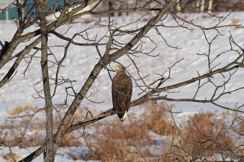 ファイル 2-8.jpg