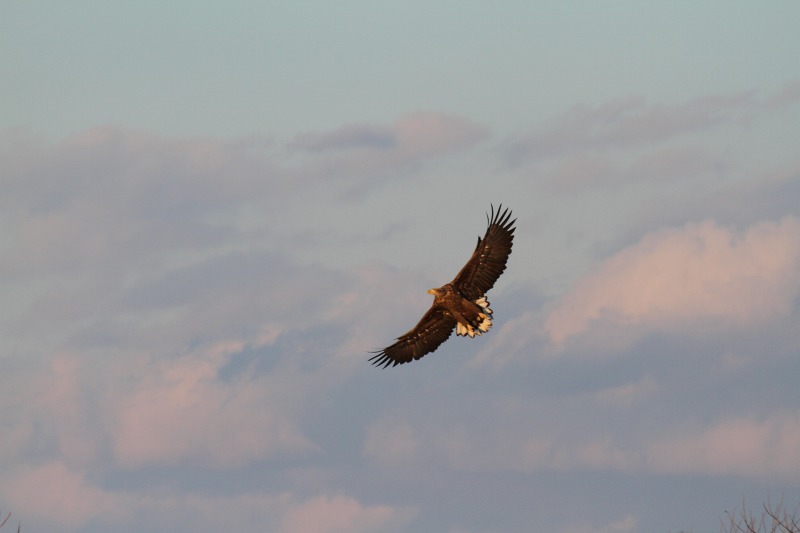 ファイル 2-9.jpg