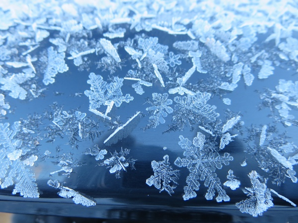 ファイル 20-9.jpg