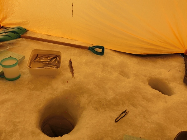 ファイル 21-3.jpg