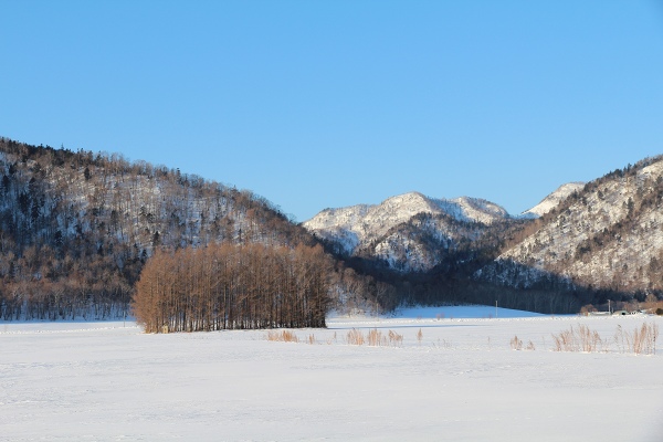 ファイル 22-1.jpg