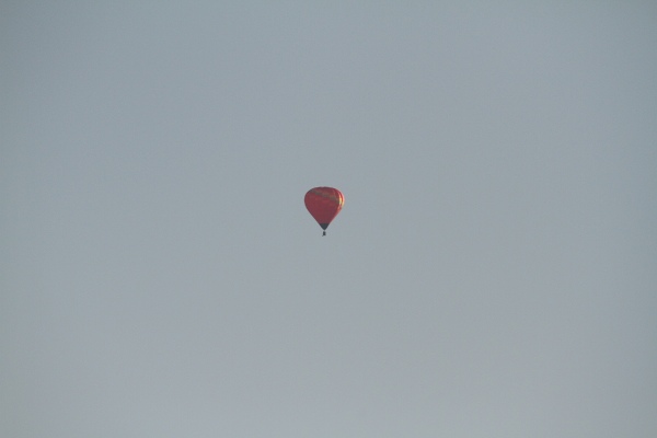 ファイル 22-5.jpg