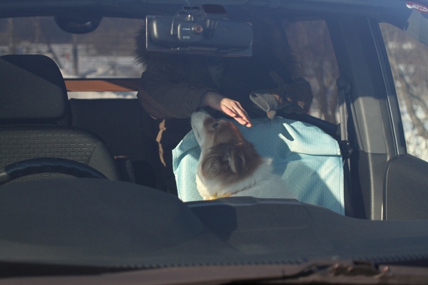 ファイル 22-6.jpg