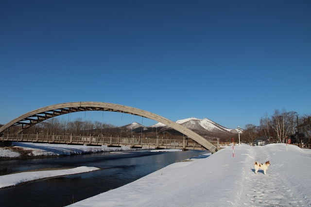 ファイル 24-3.jpg