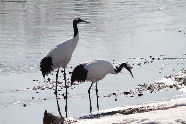 ファイル 24-7.jpg