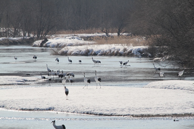 ファイル 24-8.jpg