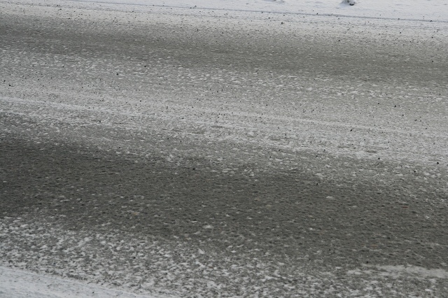 ファイル 25-2.jpg