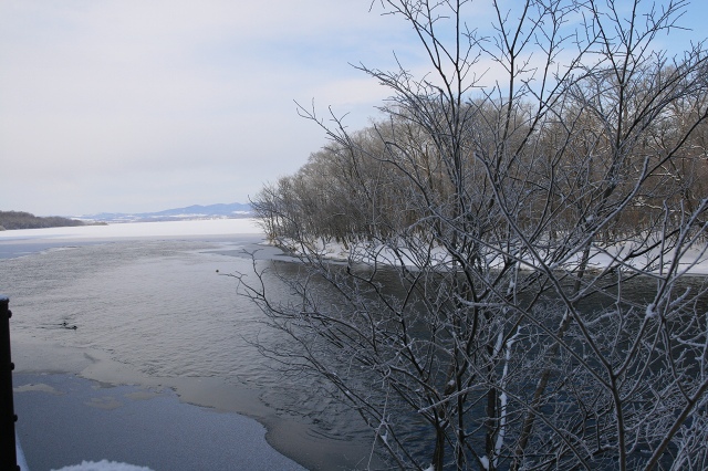 ファイル 25-5.jpg