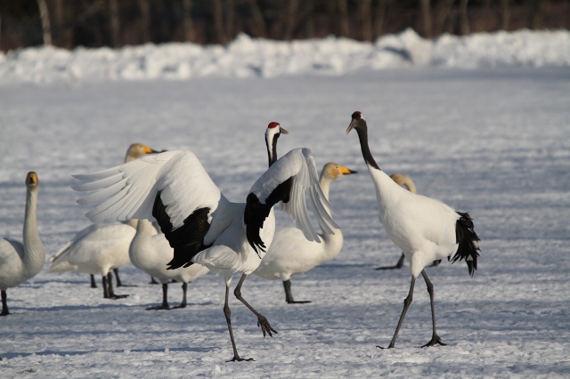 ファイル 27-2.jpg