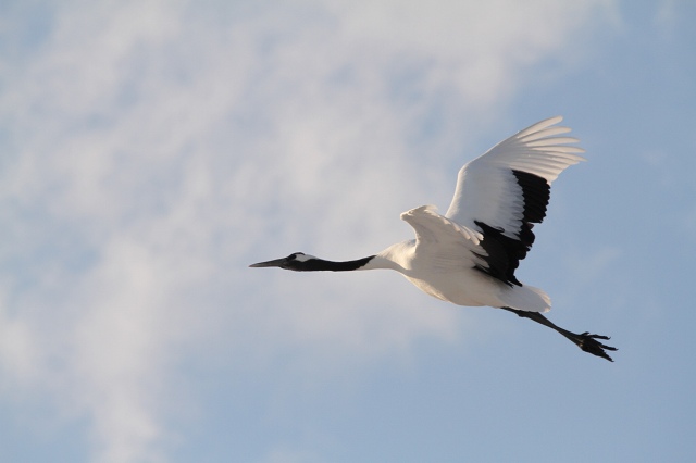 ファイル 27-5.jpg