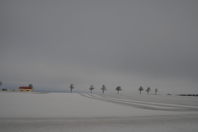 ファイル 28-1.jpg