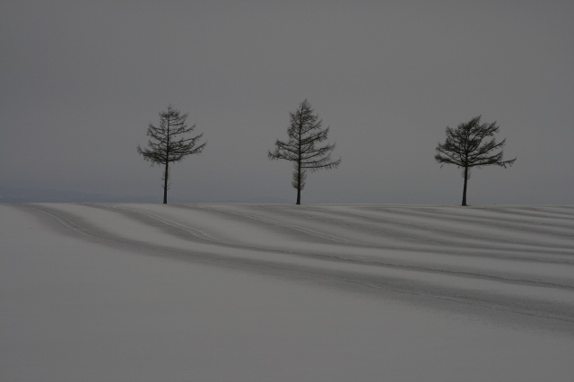 ファイル 28-2.jpg