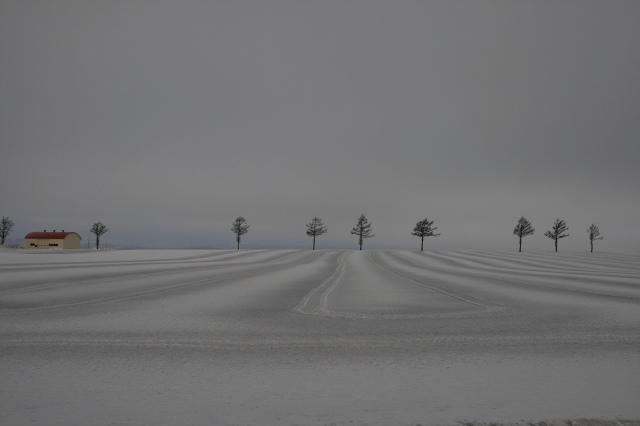 ファイル 28-3.jpg