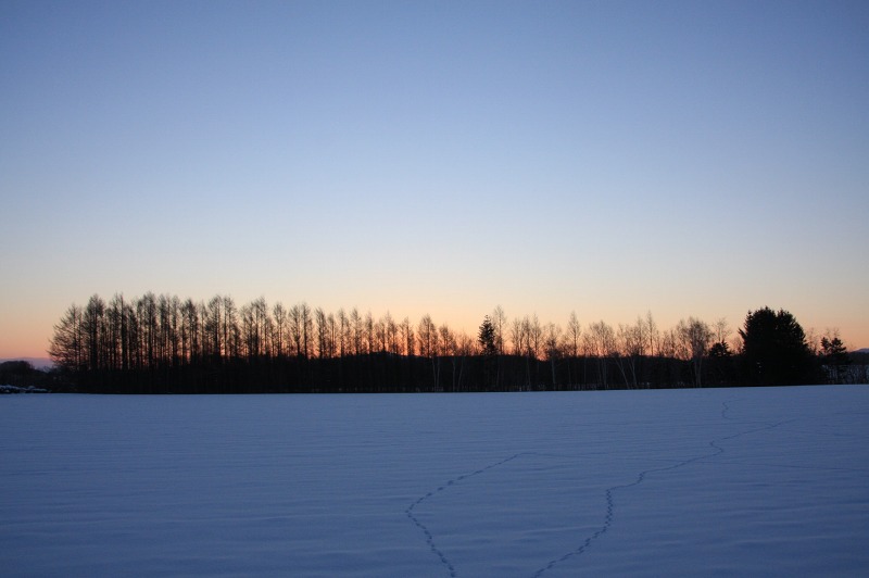 ファイル 3-1.jpg