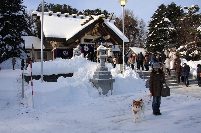 ファイル 3-2.jpg