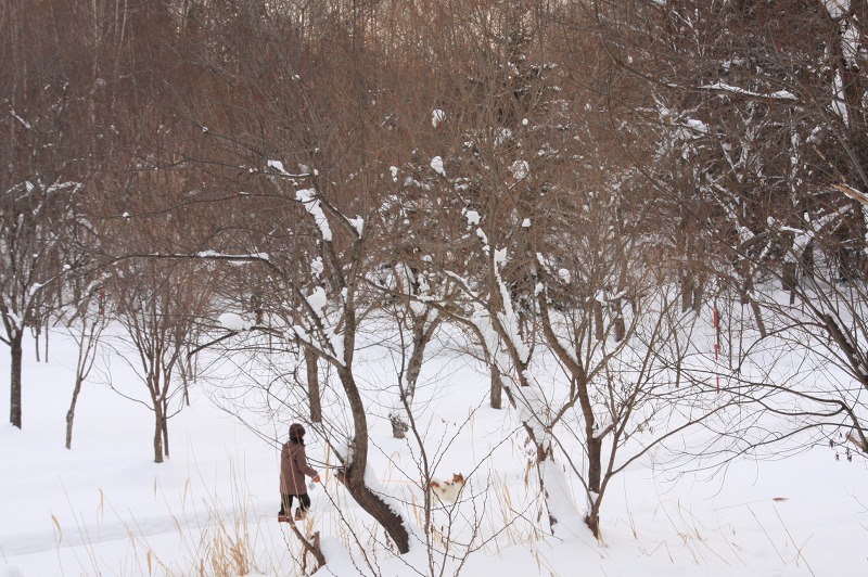 ファイル 3-3.jpg