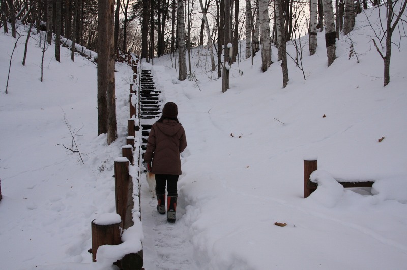 ファイル 3-4.jpg