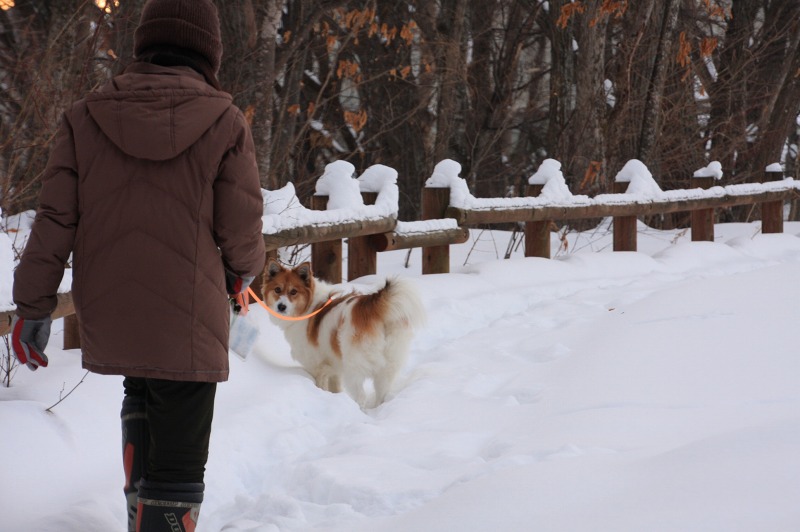 ファイル 3-5.jpg