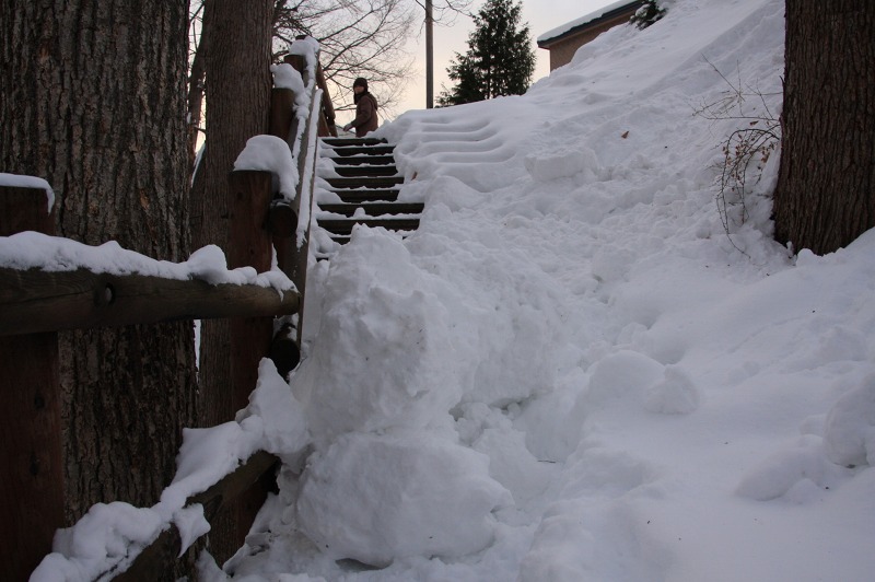 ファイル 3-6.jpg