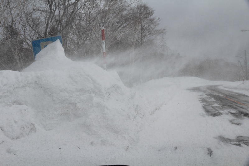 ファイル 31-1.jpg