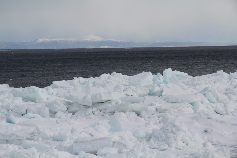 ファイル 31-2.jpg