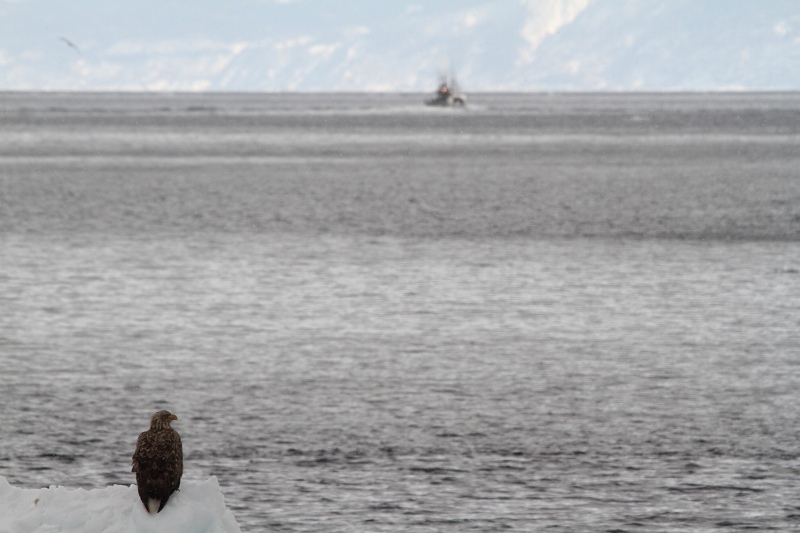 ファイル 31-6.jpg