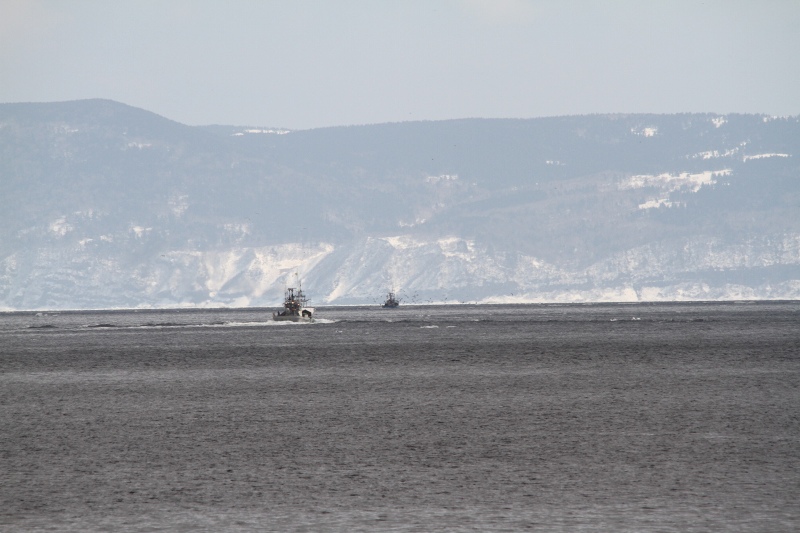 ファイル 31-7.jpg