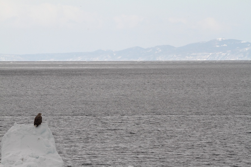 ファイル 31-8.jpg