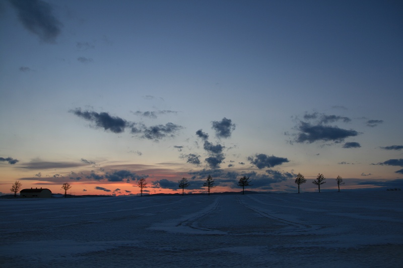 ファイル 33-1.jpg