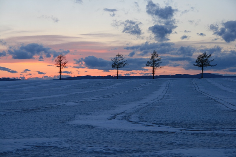 ファイル 33-2.jpg