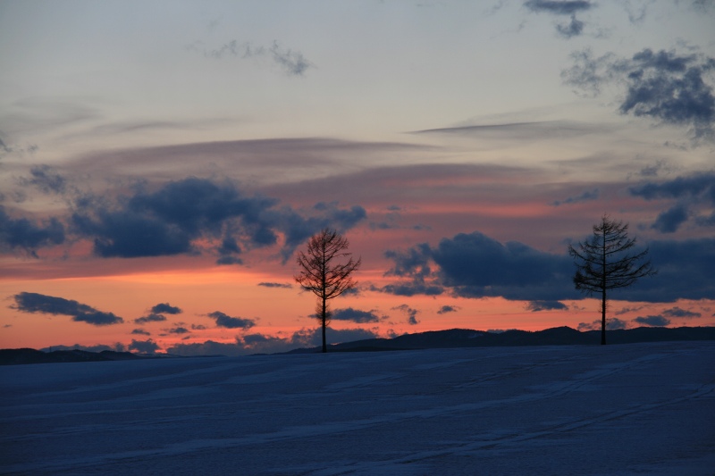 ファイル 33-3.jpg