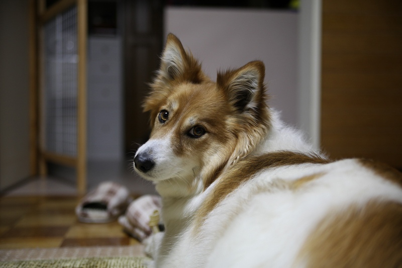 ファイル 34-3.jpg