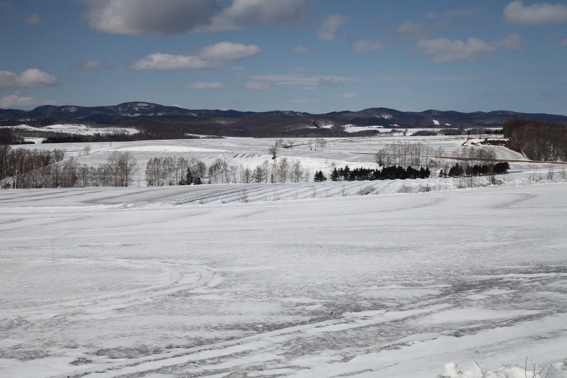 ファイル 35-1.jpg