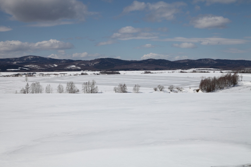 ファイル 35-2.jpg