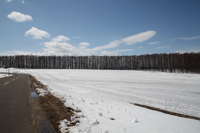 ファイル 35-3.jpg