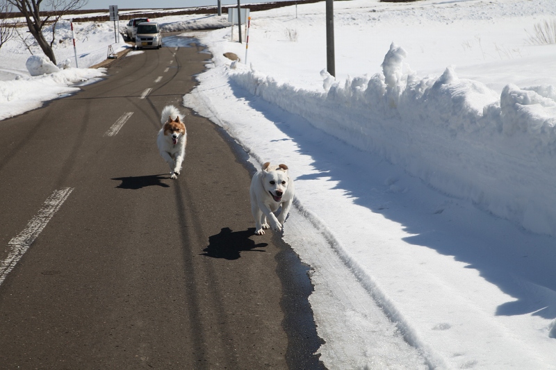 ファイル 35-4.jpg