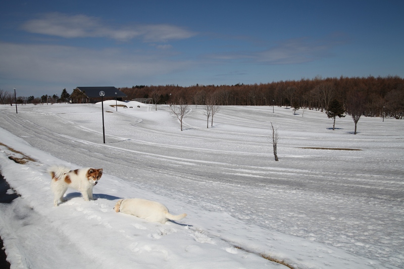 ファイル 35-5.jpg