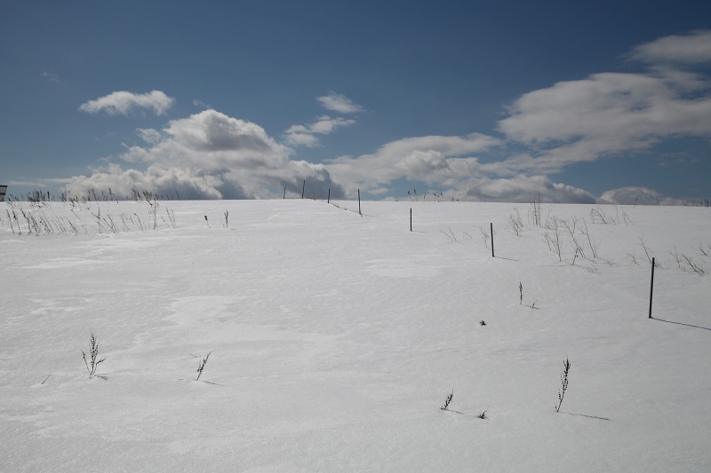 ファイル 35-6.jpg