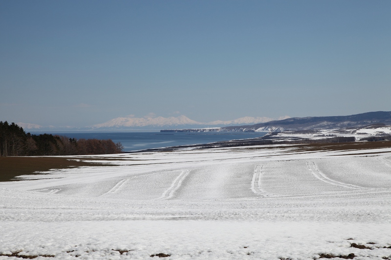 ファイル 35-7.jpg