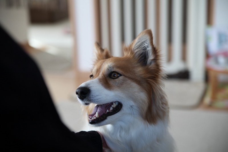 ファイル 35-9.jpg