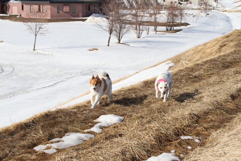 ファイル 36-3.jpg