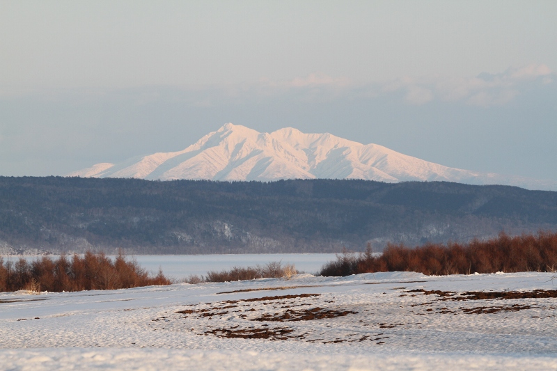 ファイル 36-4.jpg