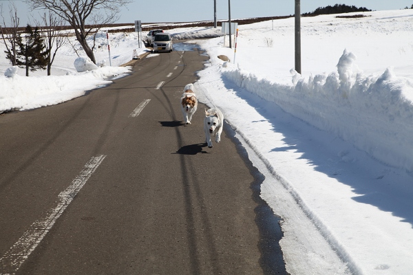 ファイル 38-1.jpg