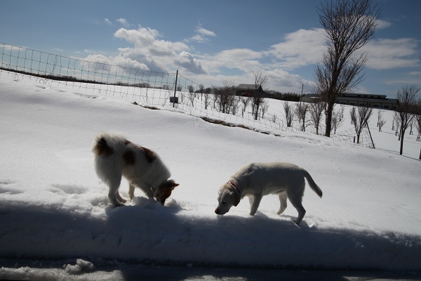 ファイル 38-2.jpg