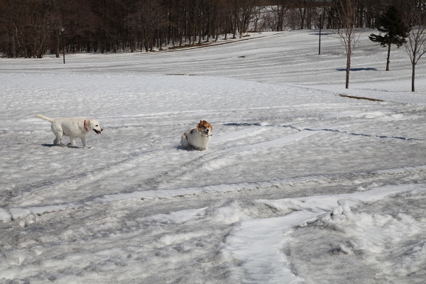 ファイル 38-3.jpg