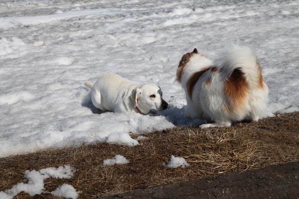 ファイル 38-4.jpg