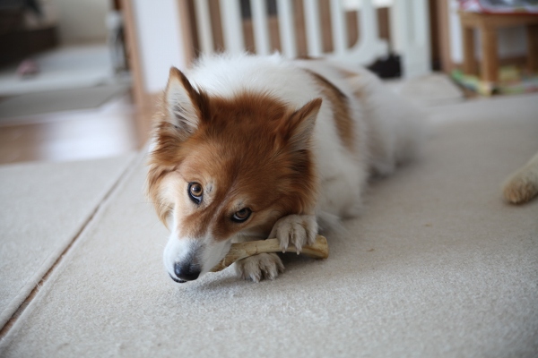 ファイル 38-5.jpg