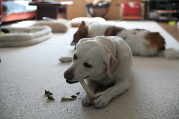 ファイル 38-6.jpg