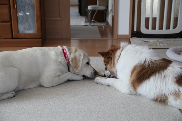 ファイル 38-7.jpg