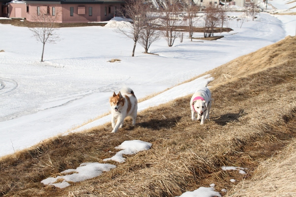 ファイル 38-8.jpg